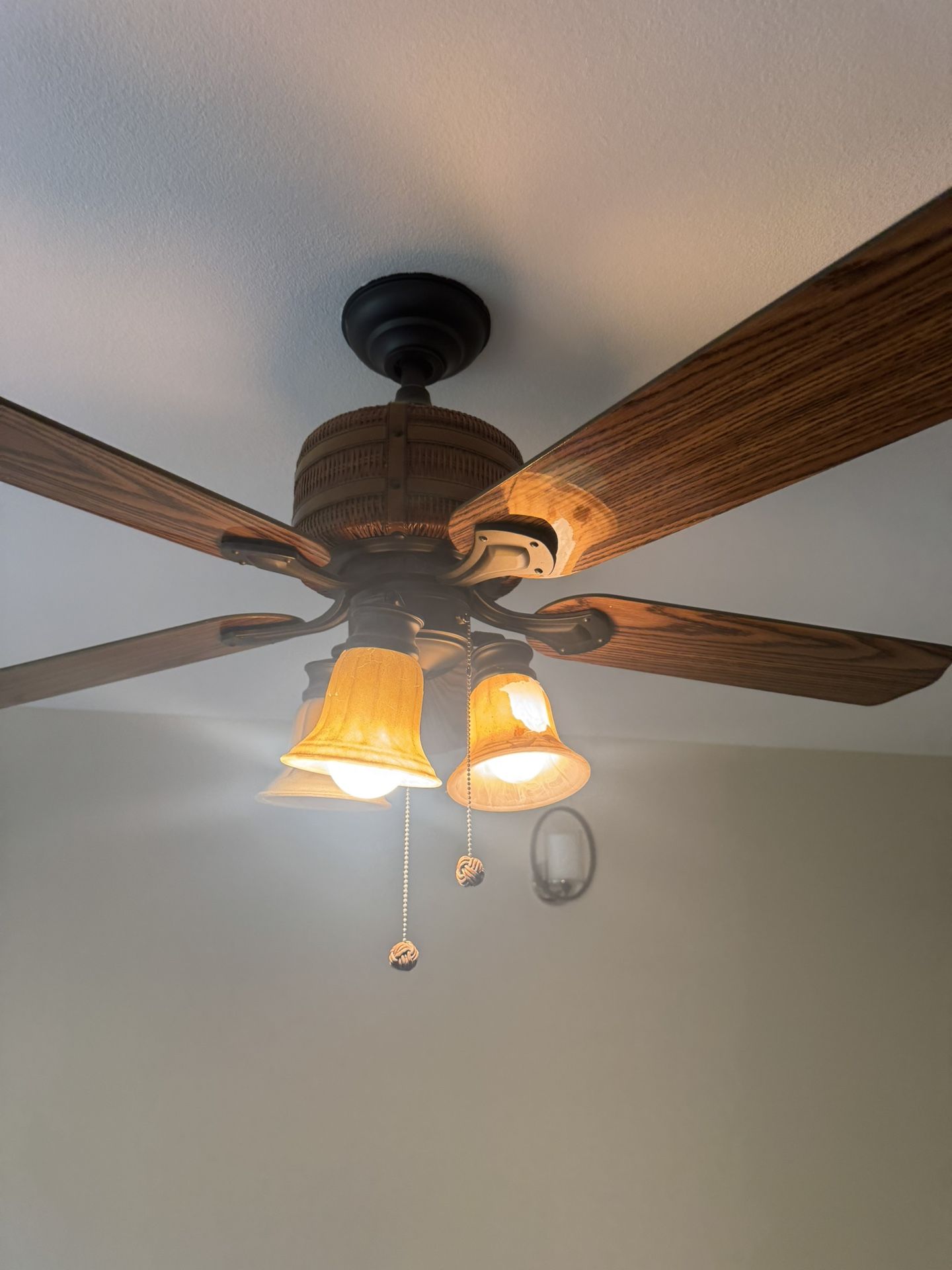 Light With Fan For Sale