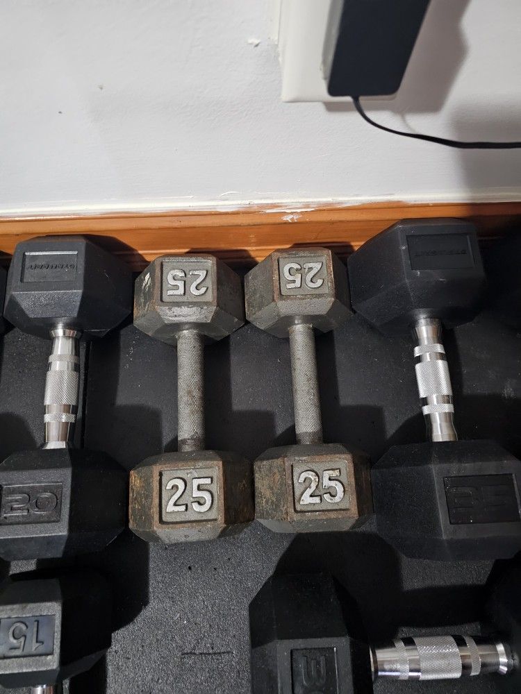 25 Lb. Dumbbells