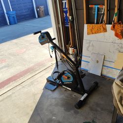 Therapeutic Electric Assisted Bike
