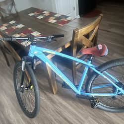 Custom C100 Mountain Bike