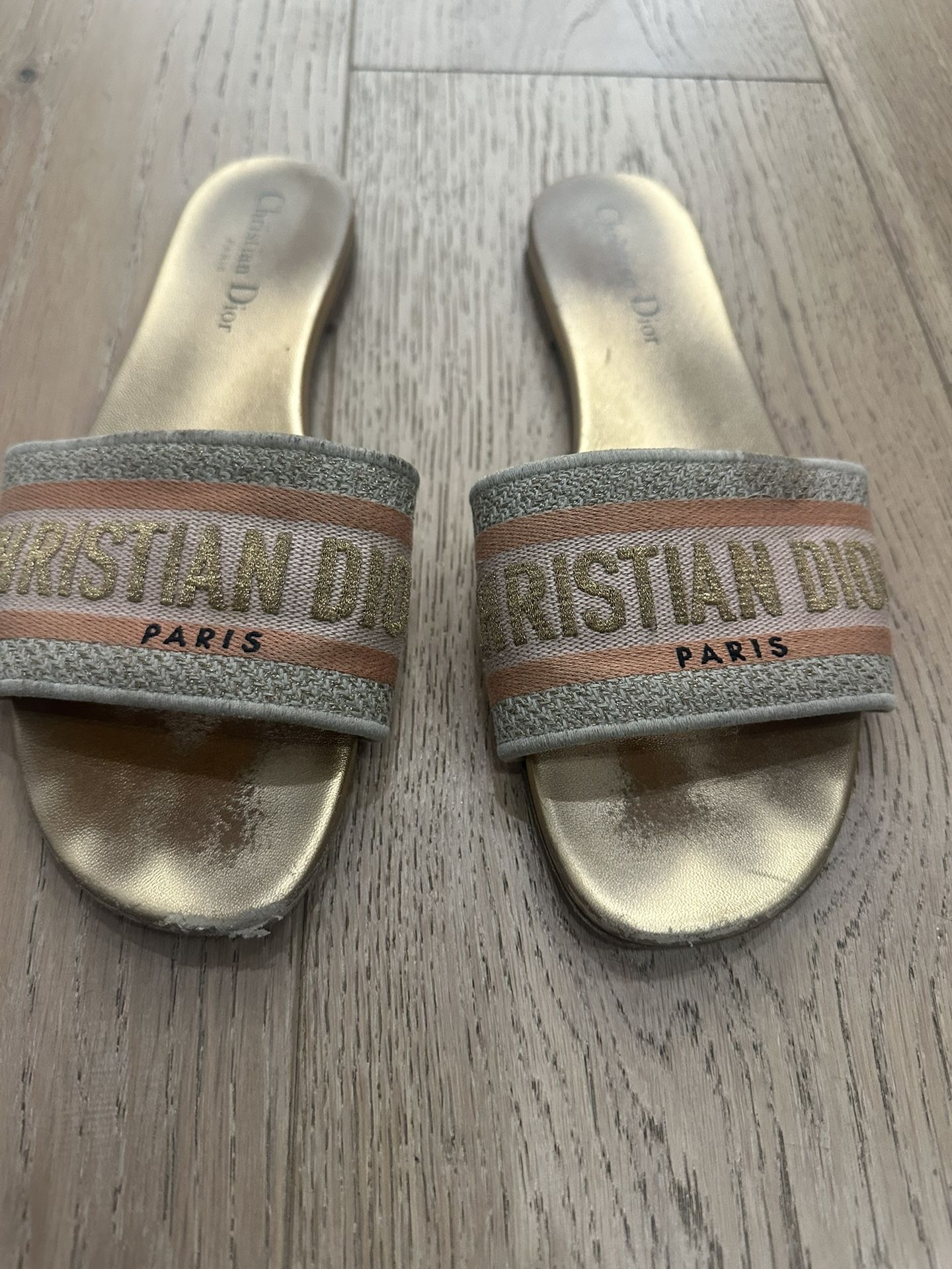 Christian Dior Canvas Printed Slides