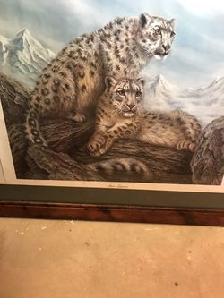 Snow leopards 20by23 frame