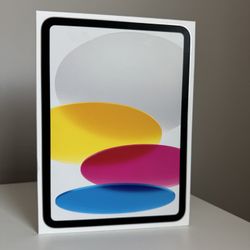 iPad 