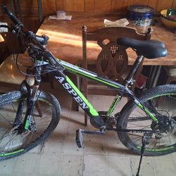 Aspen Mountain Bike
