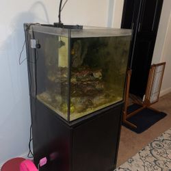 Salt Water Fish Tank For Sale 