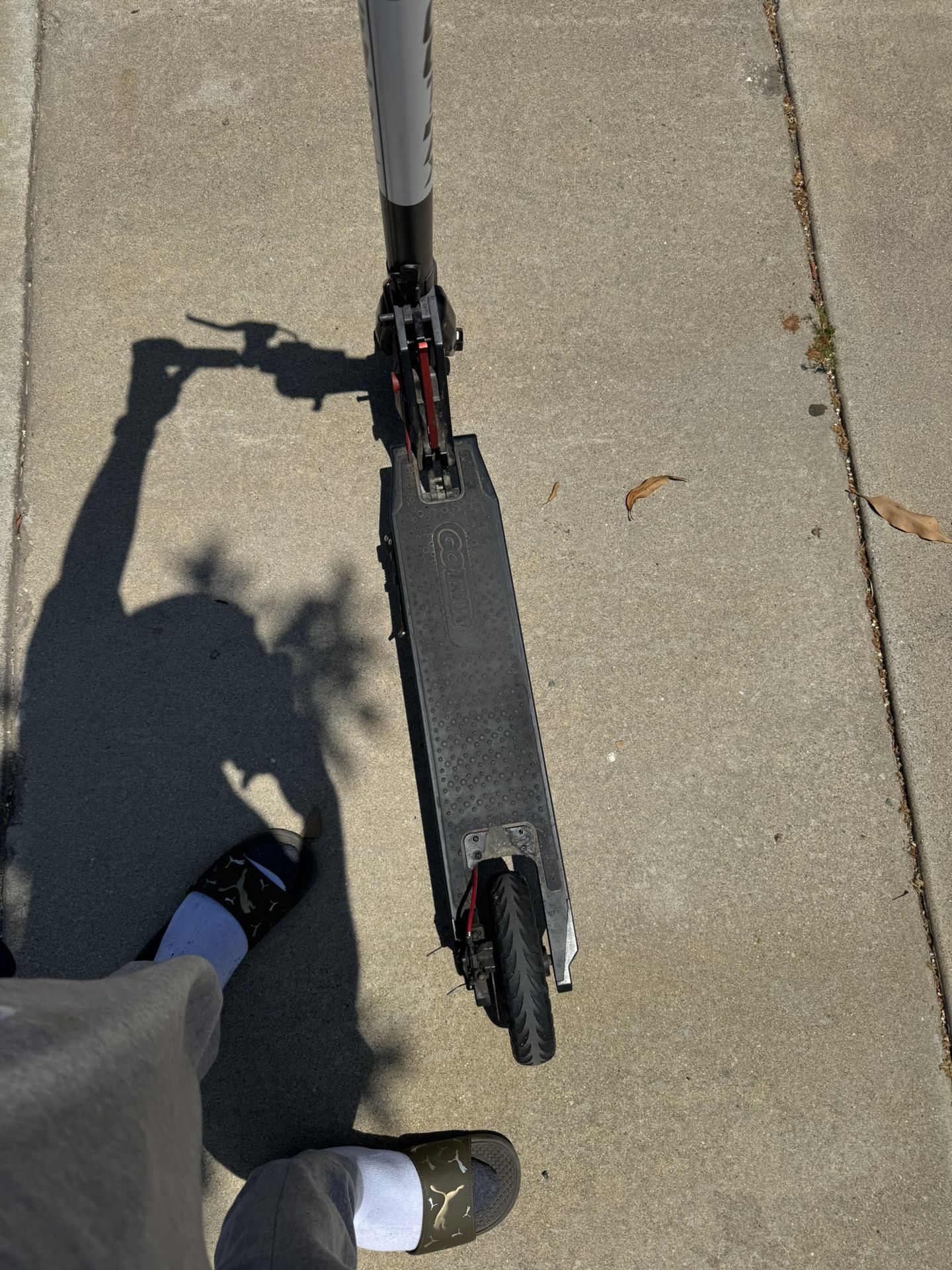 Gotrax Scooter (not Riding)
