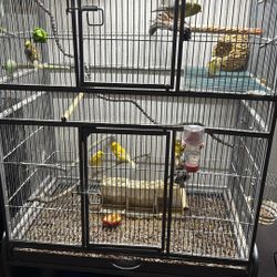 Canaries