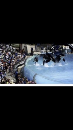 Seaworld tickets available