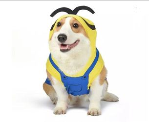 Pet Minions Costume