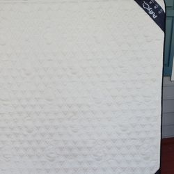 Puffy Lux Queen Mattress New