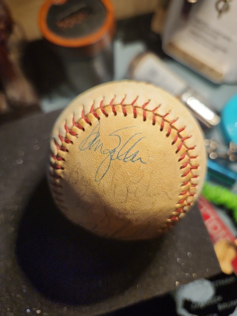 Vtg Mlb 1994 Albany Ney York Yankees autograph Twam Baseball