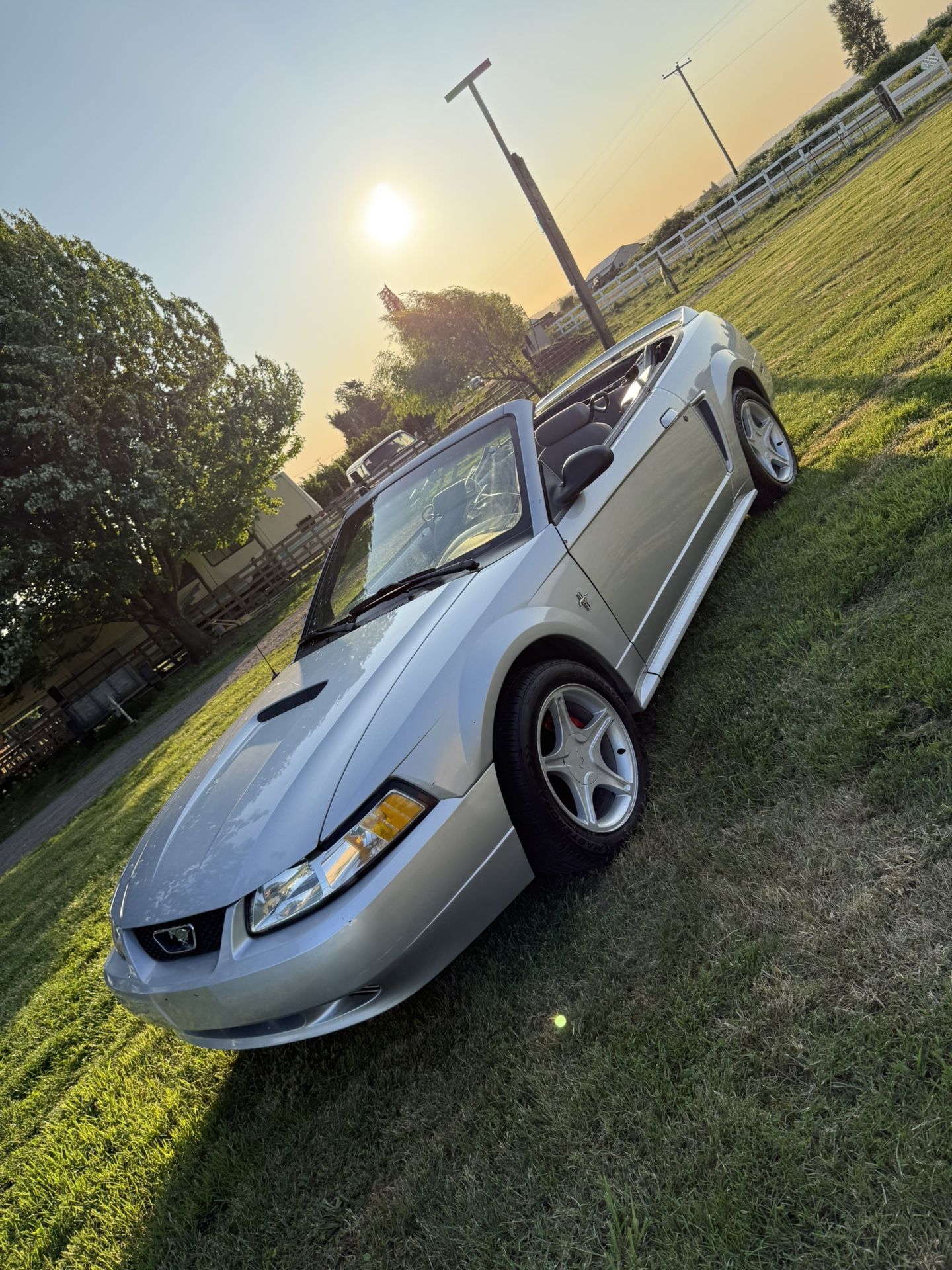 1999 Ford Mustang
