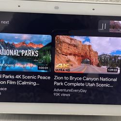 Google Home Hub