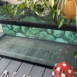 Fish Or Lizard Tank.