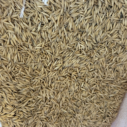 Meat bird 22% protein  50 lbs . bag