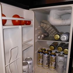Small Refrigerator 