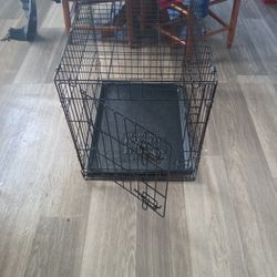 Dog Kennel 