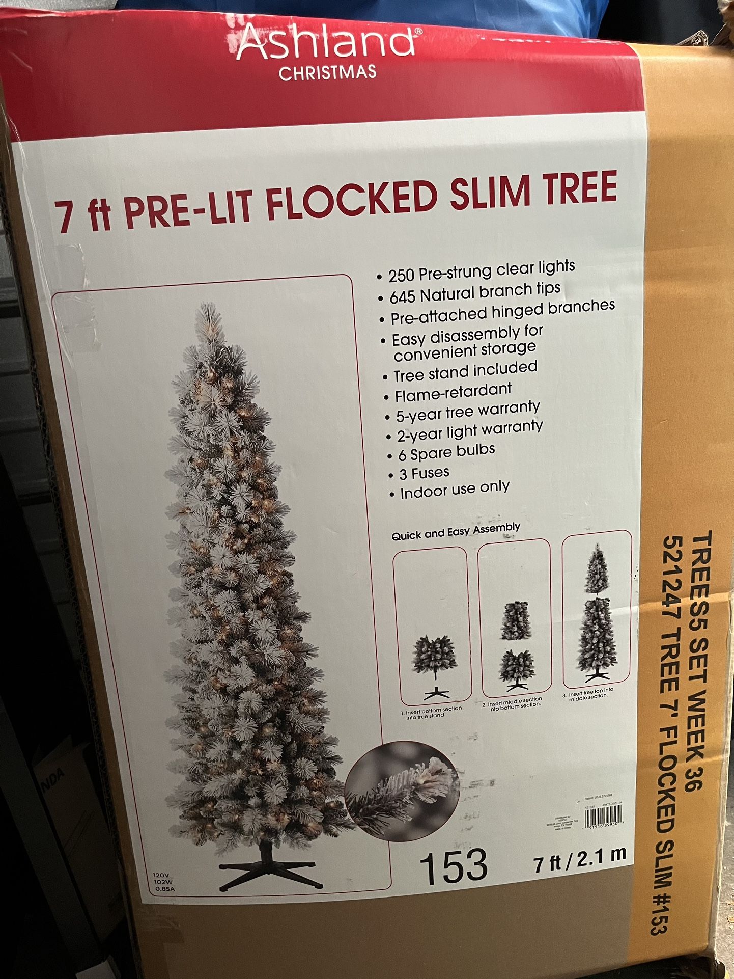 Christmas Tree