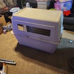 Big Dog Kennel