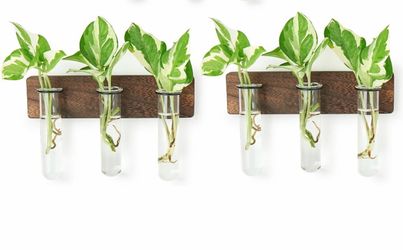 4-Propagation Station with 3 Glass Tubes