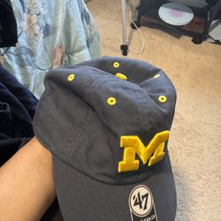 Baseball Michigan Hat