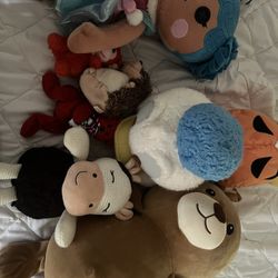 Stuffed Animals 