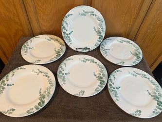 Set of 6 Pier 1 "Hushed Harvest" Eucalyptus Ceramic Dinner Plates - 10.75” - Mint Condition