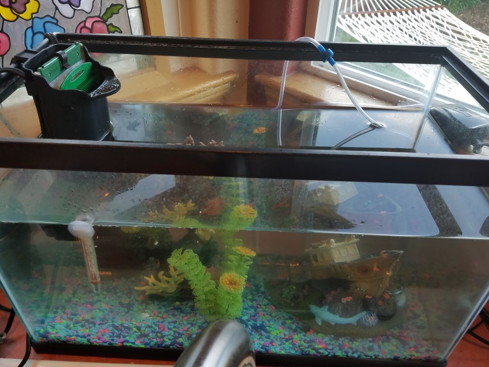 Fish tank 10gallon