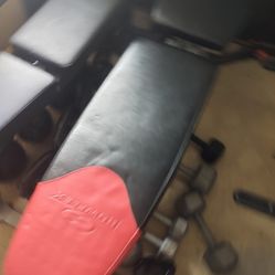 Like New Bowflex Dumbbell Weight Bench