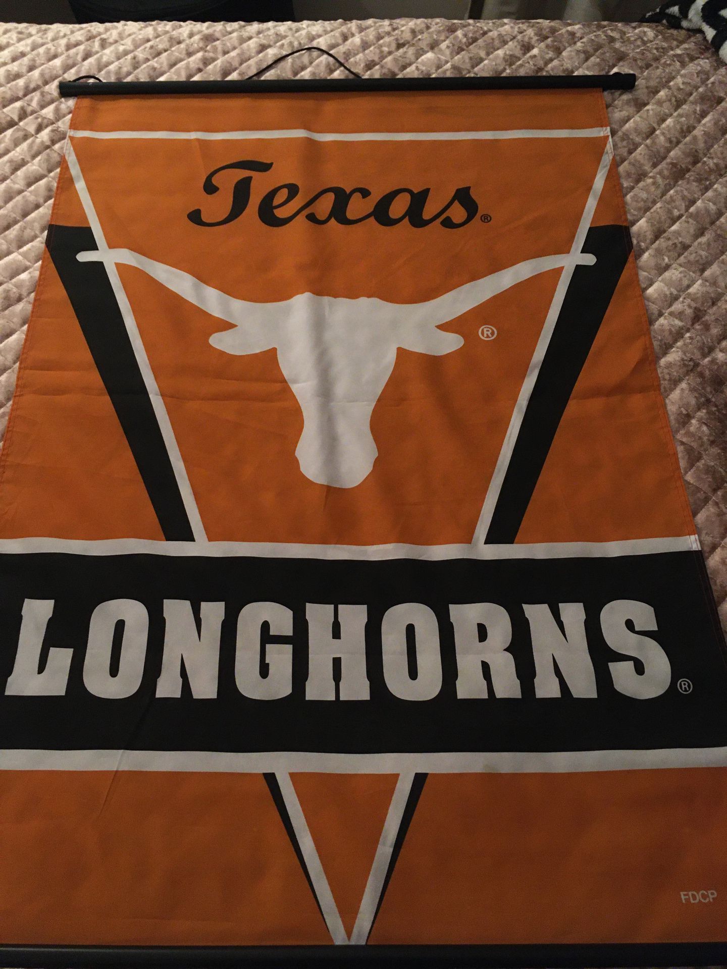 Texas Longhorns banner