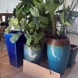 Ceramic Pots