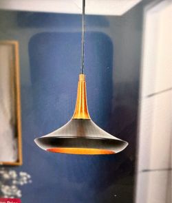 Modern Black and Gold Pendant Light