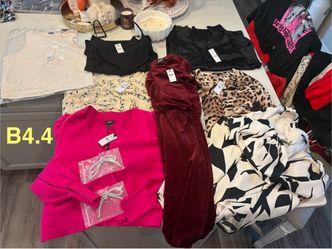 NEW Express blouses, dress, tops 2 Dresses are Medium 1 Pink Top Medium Rest Size Large smoke free home ships same day $500 Retail!