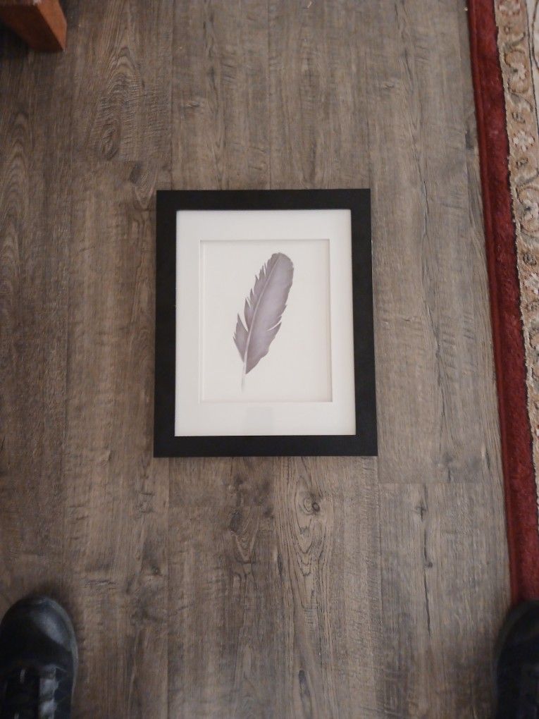 Feather drawing