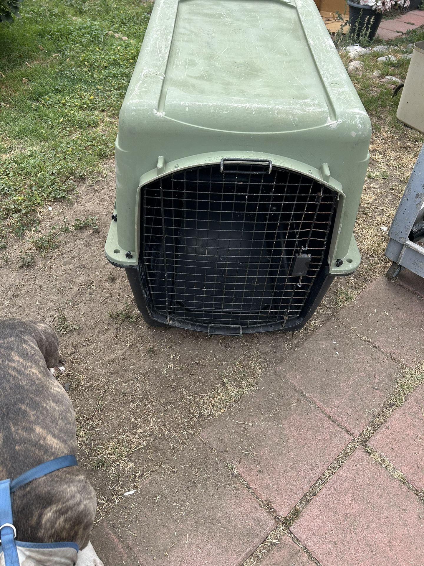 Very Large Hard Dog Kennel