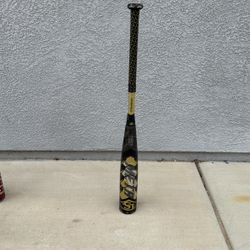 Baseball Bat For Sale 