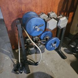 Bench and Weights