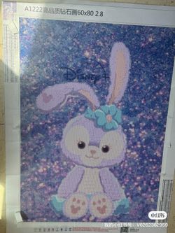 Diamond Painting (finished )