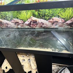 75 Gallon Fish Tank W/Lights And Glass Top