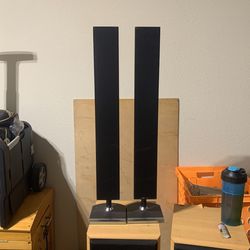 Dell Computer Speakers