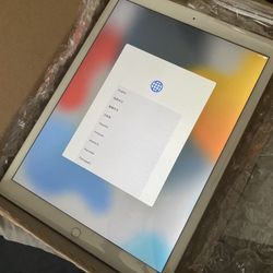 Ipad Pro 12.9 Gold
