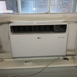 LG Dual Inverter AC Unit
