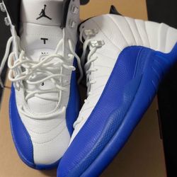 Blueberry Air Jordan 12 