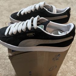 Pumas