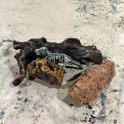 Aquarium Decor, Natural And Pre Boiled Wood And Sank