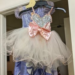 Fairy Custom 