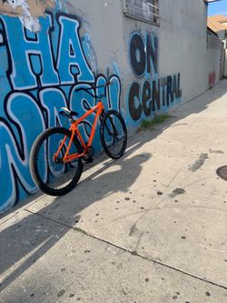 Orange palm fixed 29