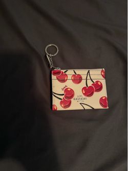 Coach mini skinny ID Case