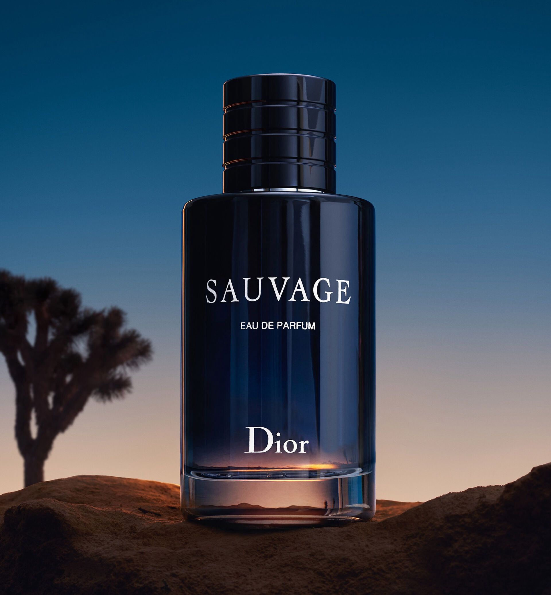 Dior Sauvage Eau de Toilette
