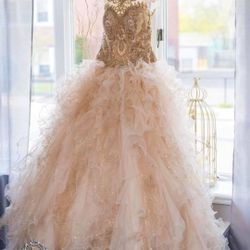 Stunning Sweet Sixteen Gown Retailed Over $1000! Please Note Dress Is Located In NY.